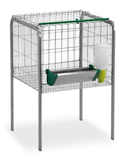 JAULA ENGORDE DE POLLOS 1 DPTO.