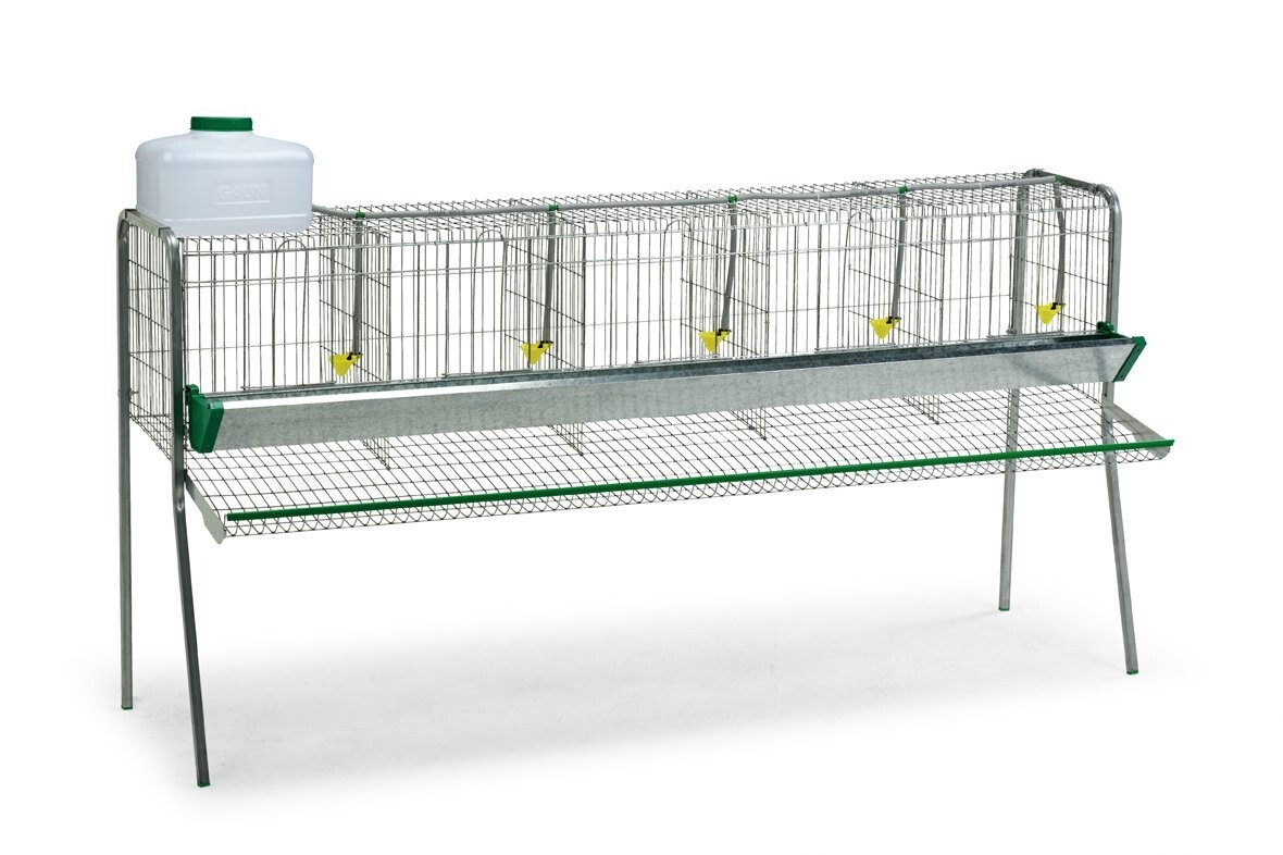 BATERIA GALLINAS 5 DPTOS.