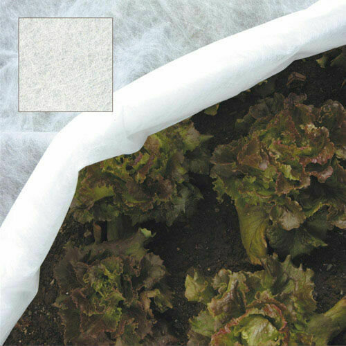 Mezclador Cola Ligera Recambio M14 140x600 mm.