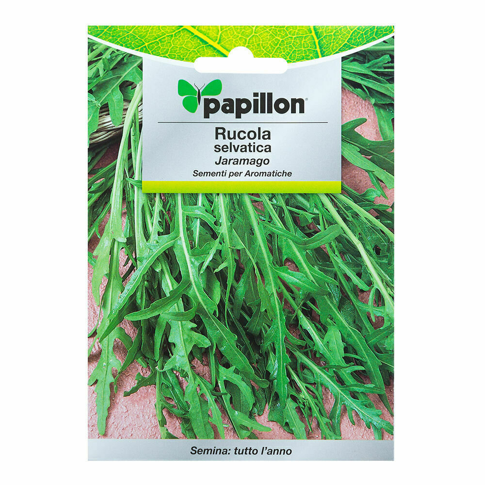 Semillas Aromaticas Rucula Selvatica (2.5 gramos) Horticultura, Horticola, Semillas Huerto.