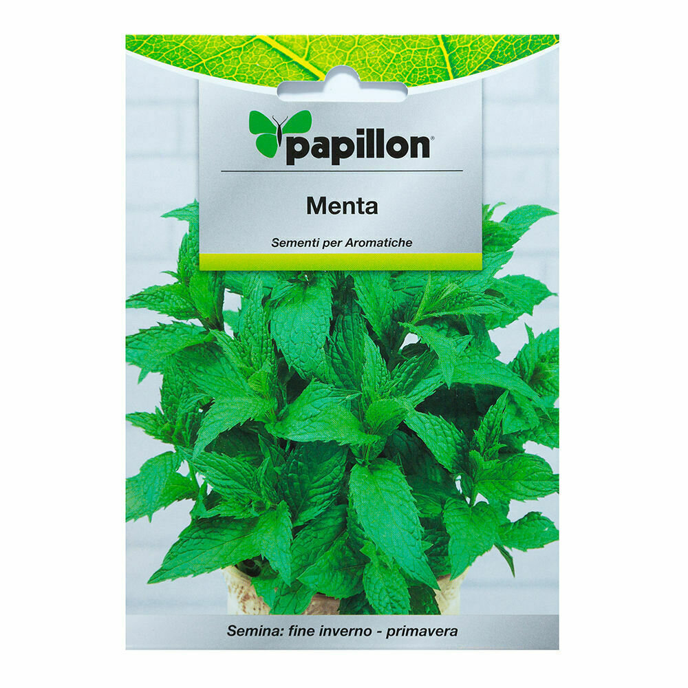 Semillas Aromaticas Menta (0.3 gramos) Horticultura, Horticola, Semillas Huerto.
