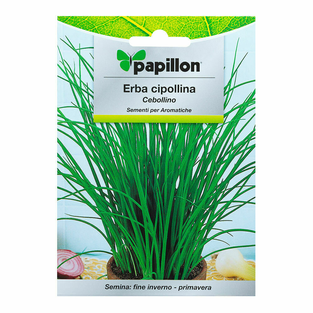 Semillas Aromaticas Cebollino (1 gramo) Horticultura, Horticola, Semillas Huerto.