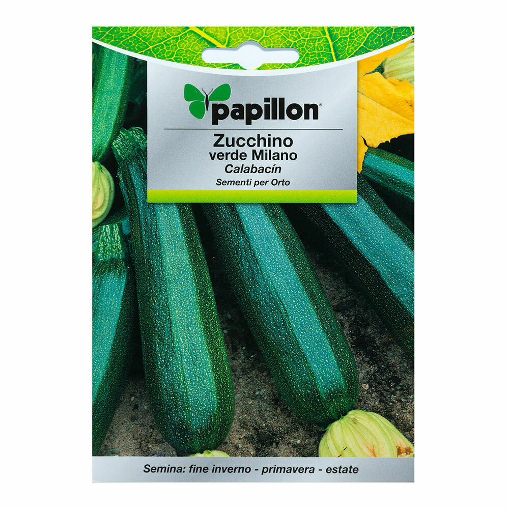 Semillas Calabacin Verde Oscuro (5 gramos) Semillas Verduras, Horticultura, Horticola, Semillas Huerto.