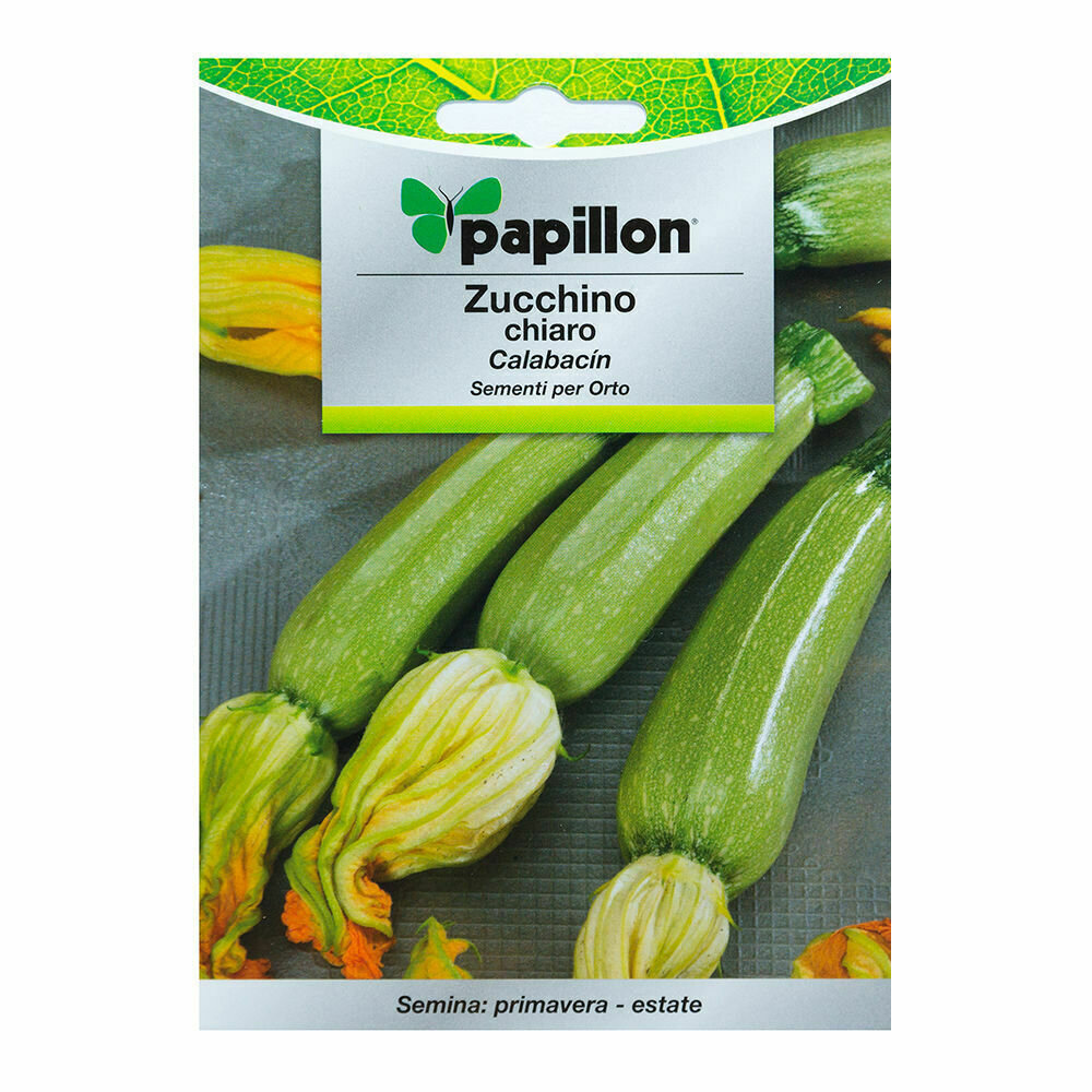 Semillas Calabacin Claro (5 gramos) Semillas Verduras, Horticultura, Horticola, Semillas Huerto.