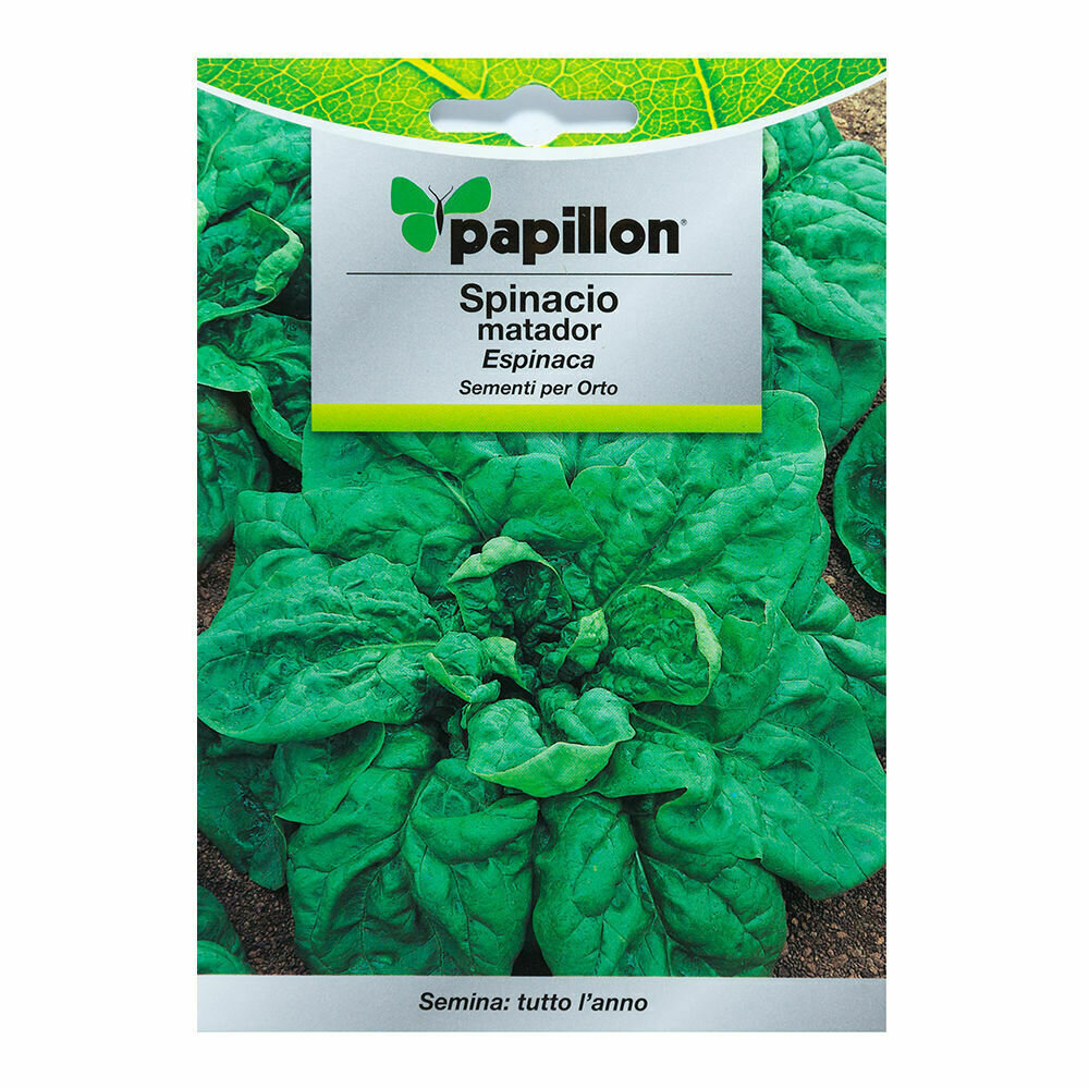 Semillas Espinaca Temprana (8 gramos) Semillas Verduras, Horticultura, Horticola, Semillas Huerto.