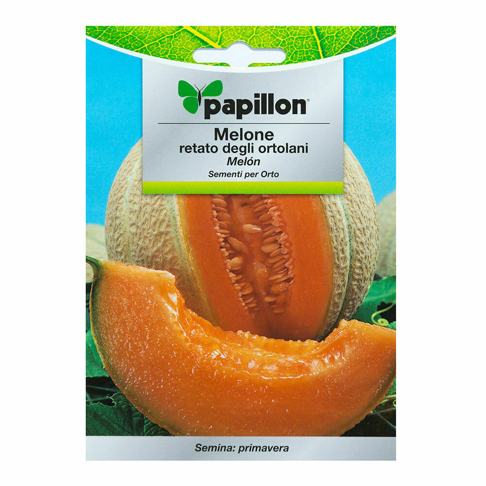 Semillas Melon Cantalupo (3 gramos) Semillas Frutas, Horticultura, Horticola, Semillas Huerto.