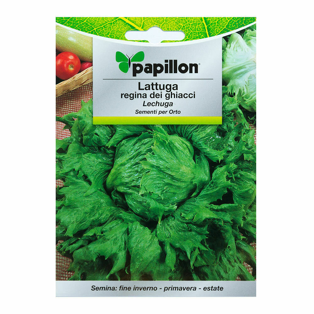 Semillas Lechuga Reina Del Hielo (7 gramos) Semillas Verduras, Horticultura, Horticola, Semillas Huerto.