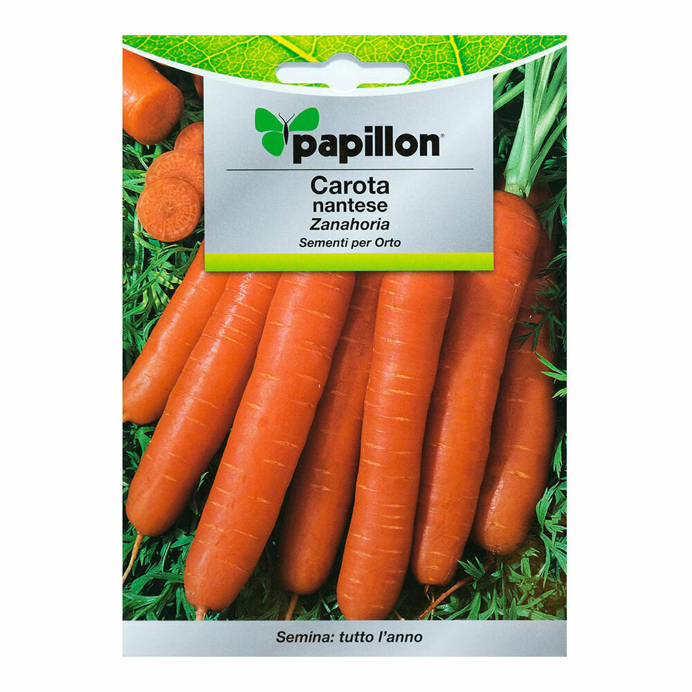 Semillas Zanahoria Nantes Temprana (7 Gramos). Semillas Verduras, Horticultura, Horticola, Semillas Huerto.