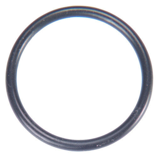 Arandela Piston Sulfatadora Libeccio 6 / 8 Litros