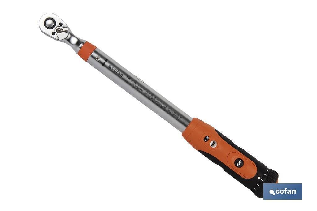 DINAMOM�TRICA PROFESIONAL 1/2" (60-340Nm)