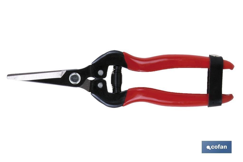 TIJERA RECOLECCI�N CURVA 185MM