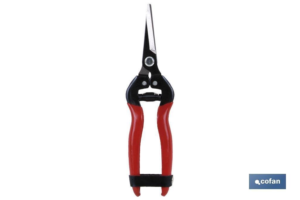 TIJERA RECOLECCION PUNTA RECTA 185 MM