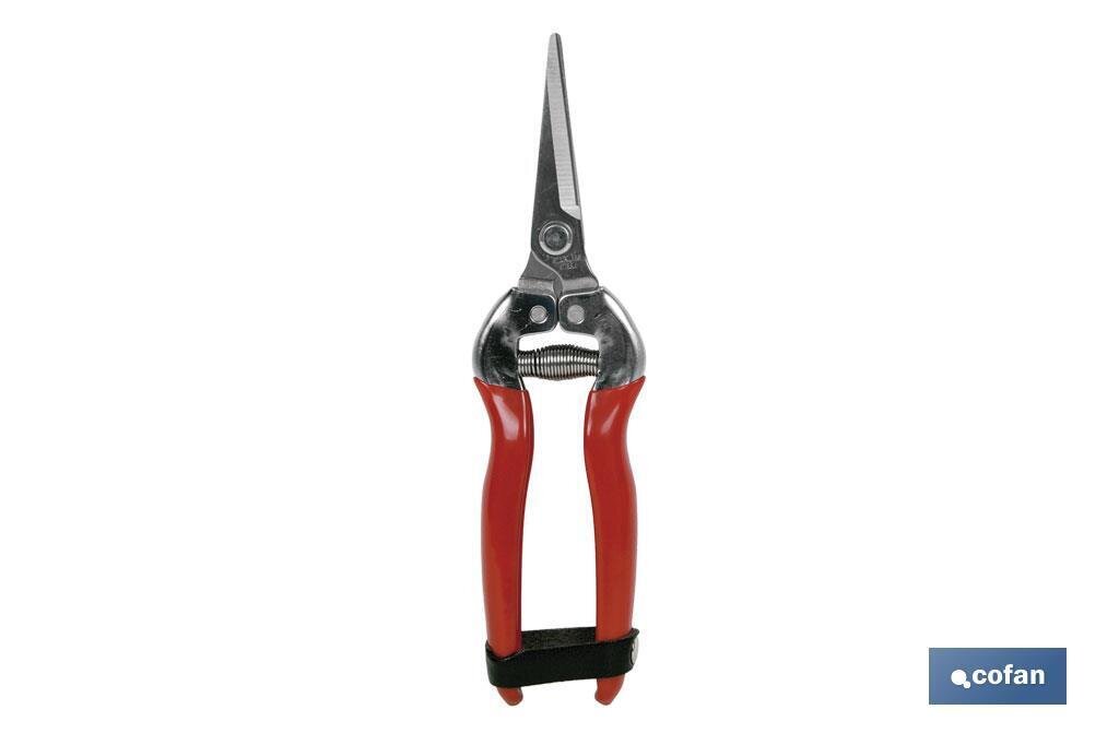 TIJERA RECOLECCION RECTA 185 MM INOX