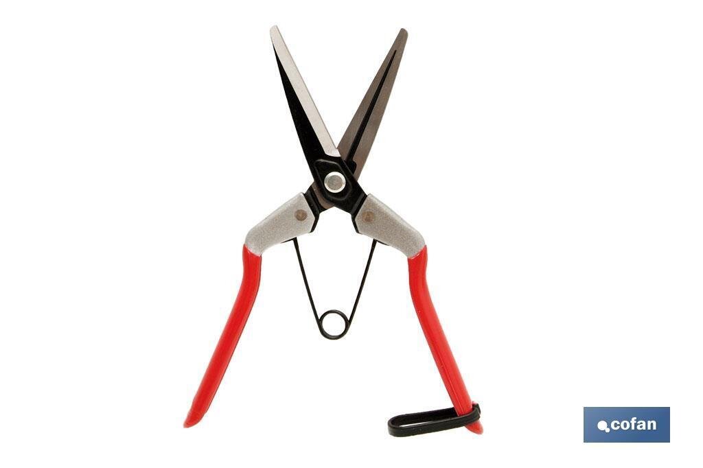 TIJERA RECOLECCION 210MM MANGO ACERO TIJERA RECOLECCION 210MM MANGO ACERO