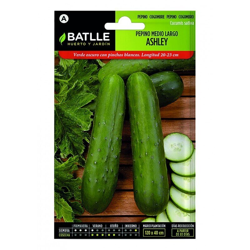 PEPINO ASHLEY MEDIO LARGO LUJO