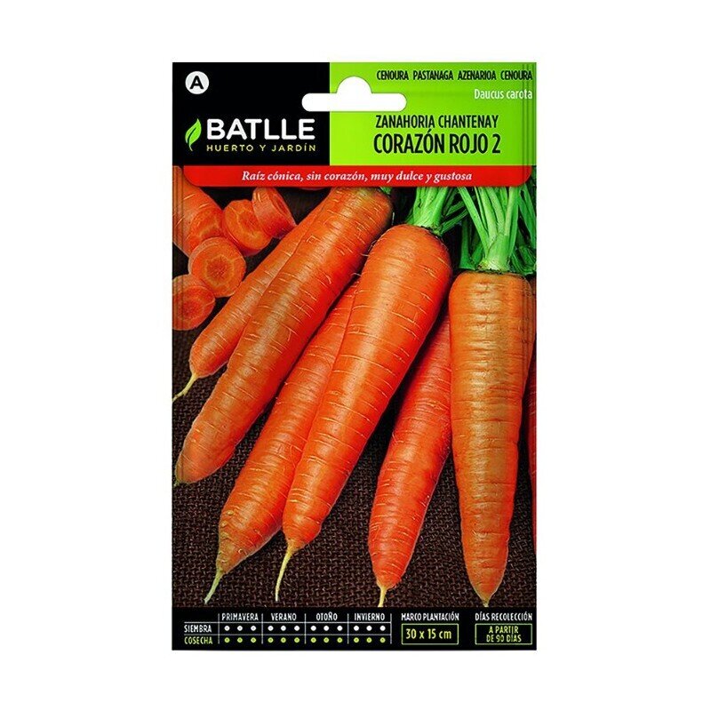 ZANAHORIA CHANTENAY DE CORAZON ROJO 2