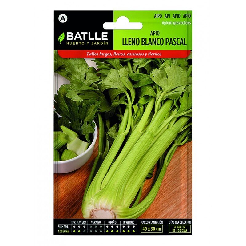 APIO BLANCO (PASCAL) LUJO