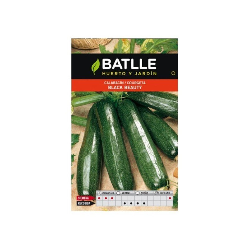 CALABACIN BLACK BEAUTY LUJO 7 GR.