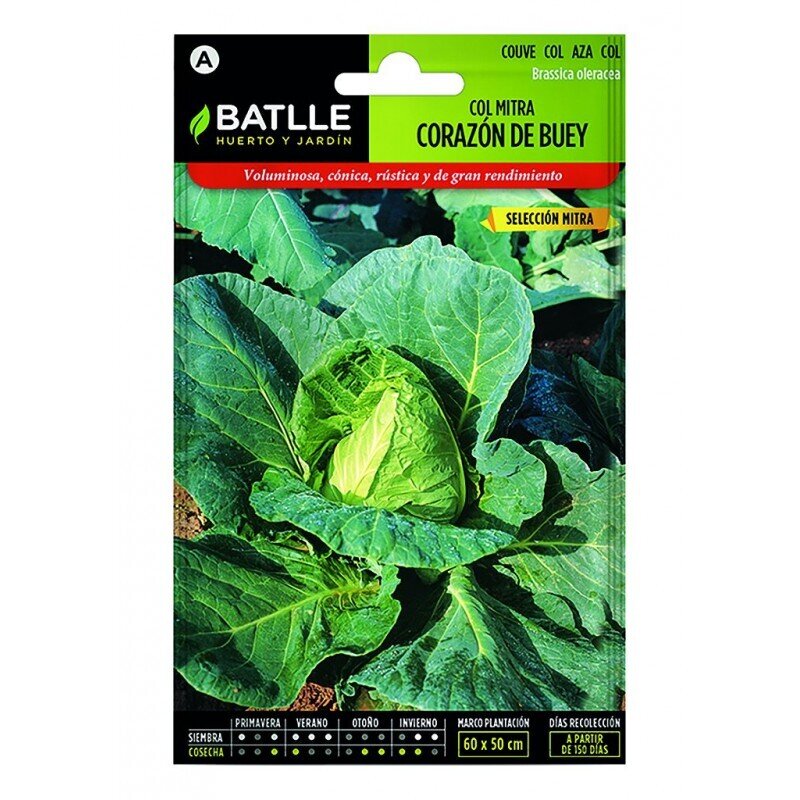 COL CORAZON BUEY GDE. ( S.MITRA )100 GRS