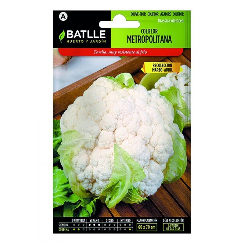 COLIFLOR METROPOLITANA (MARZO-ABRIL)LUJO