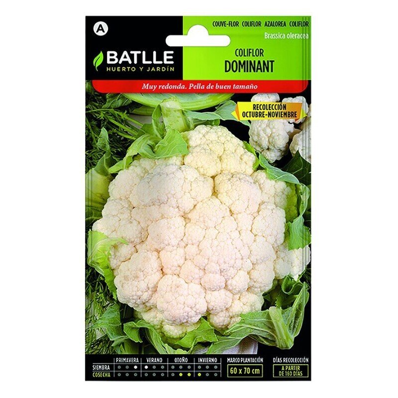 COLIFLOR BLANQUITA OCTUBRE - NOVIEMBE LUJO