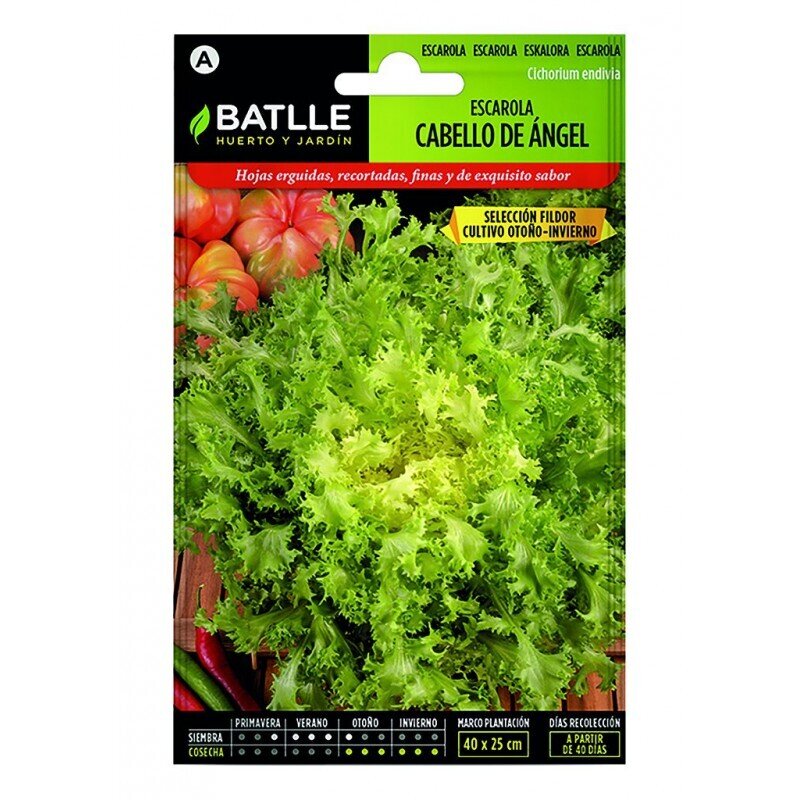 ESCAROLA CABELLO ANGEL ( S.FILDOR ) LUJO