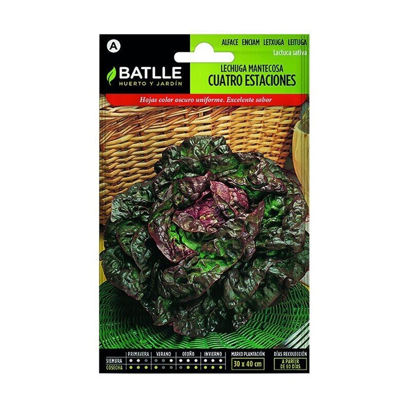 LECHUGA MARAVILLA DE 4 ESTACIONES LUJO