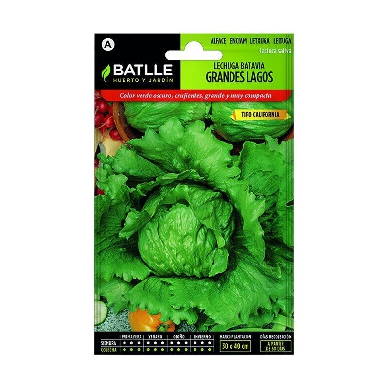 LECHUGA GRANDES LAGOS LUJO