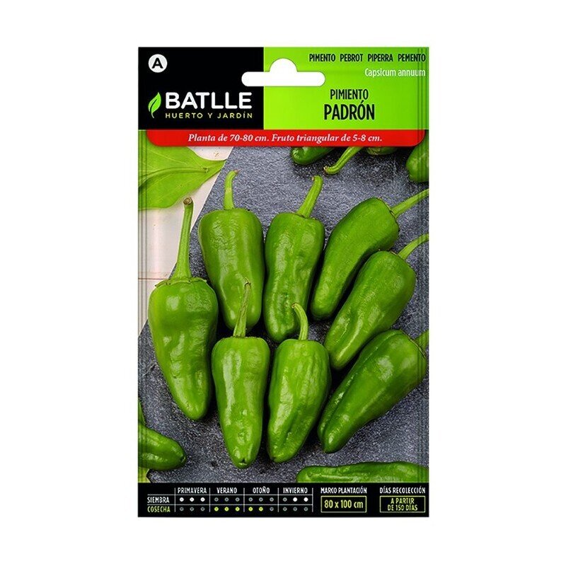 PIMIENTO PADRON LUJO