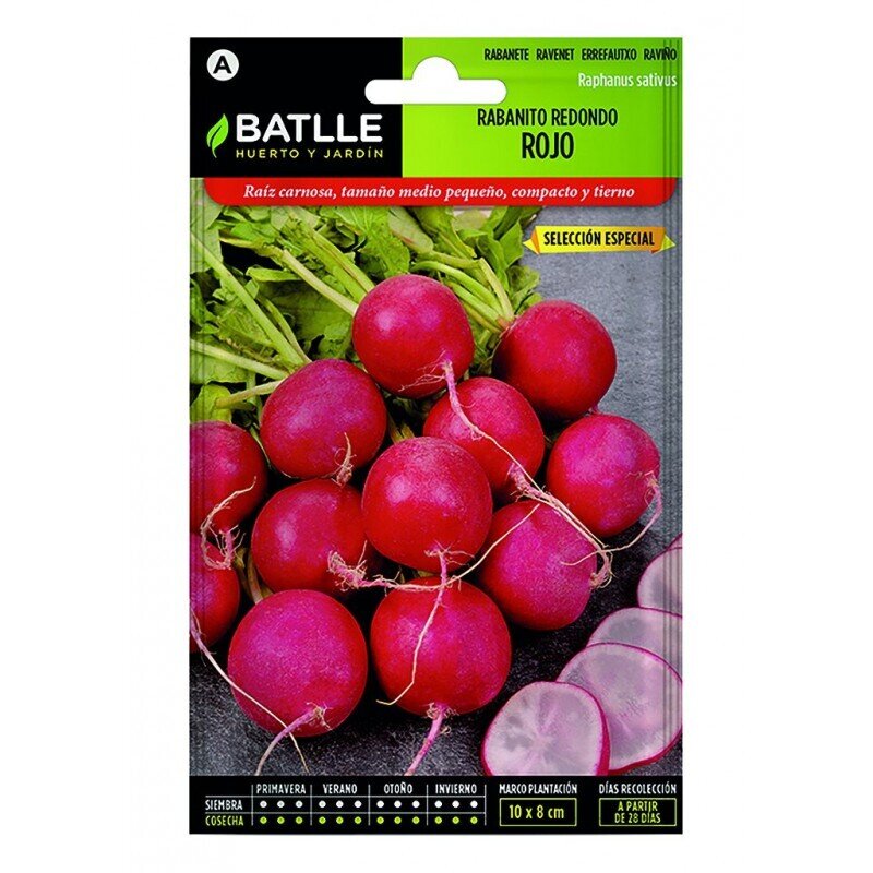 RABANITO REDONDO ROJO ESPECIAL LUJO