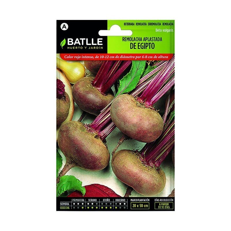 REMOLACHA MESA APLASTADA DE EGIPTO LUJO