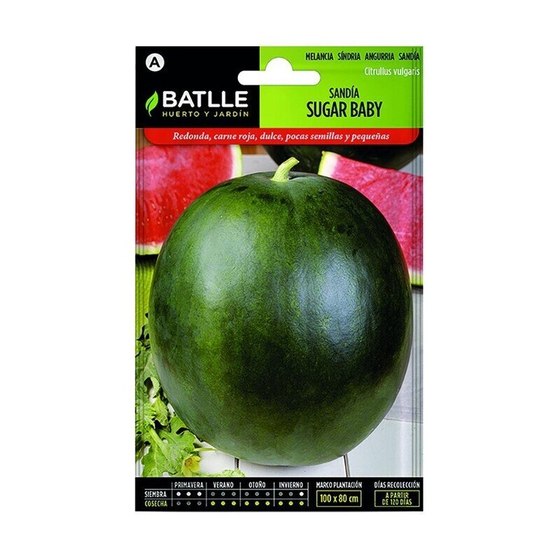 SANDIA OSCURA SUGAR BABY TARDIA LUJO SANDIA OSCURA SUGAR BABY TARDIA LUJO