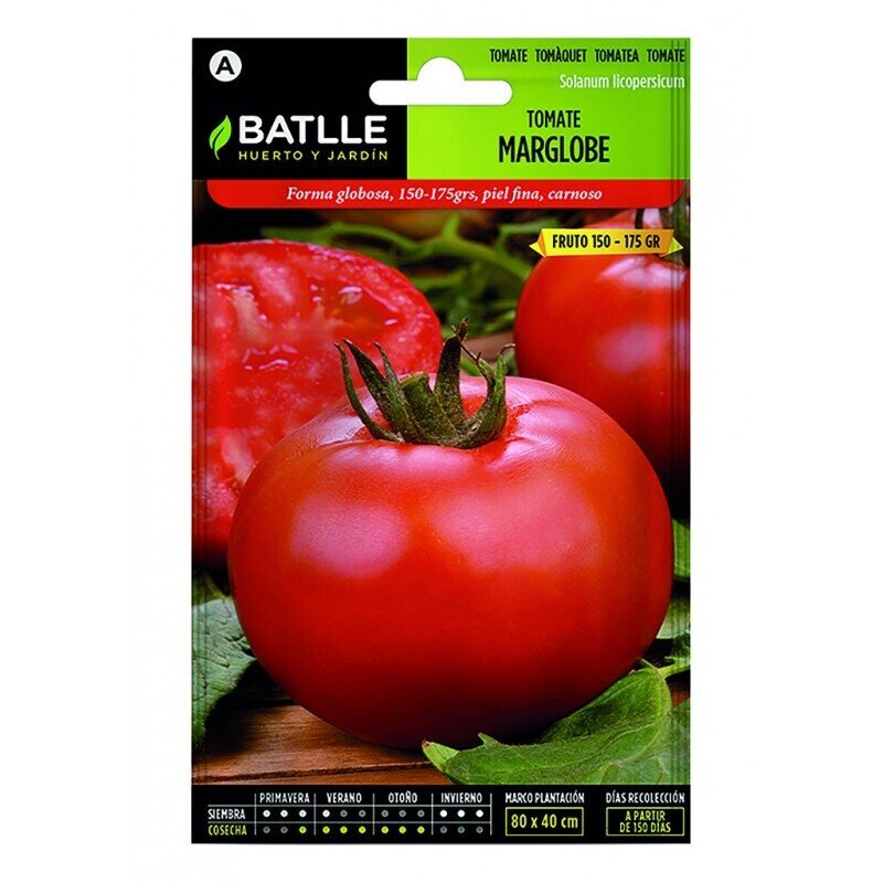 TOMATE TARDIO MARGLOBE LUJO TOMATE TARDIO MARGLOBE LUJO