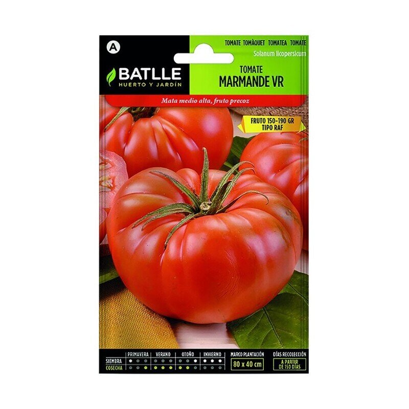 TOMATE TEMPRANO MARMANDE VR TIPO HOLANDA