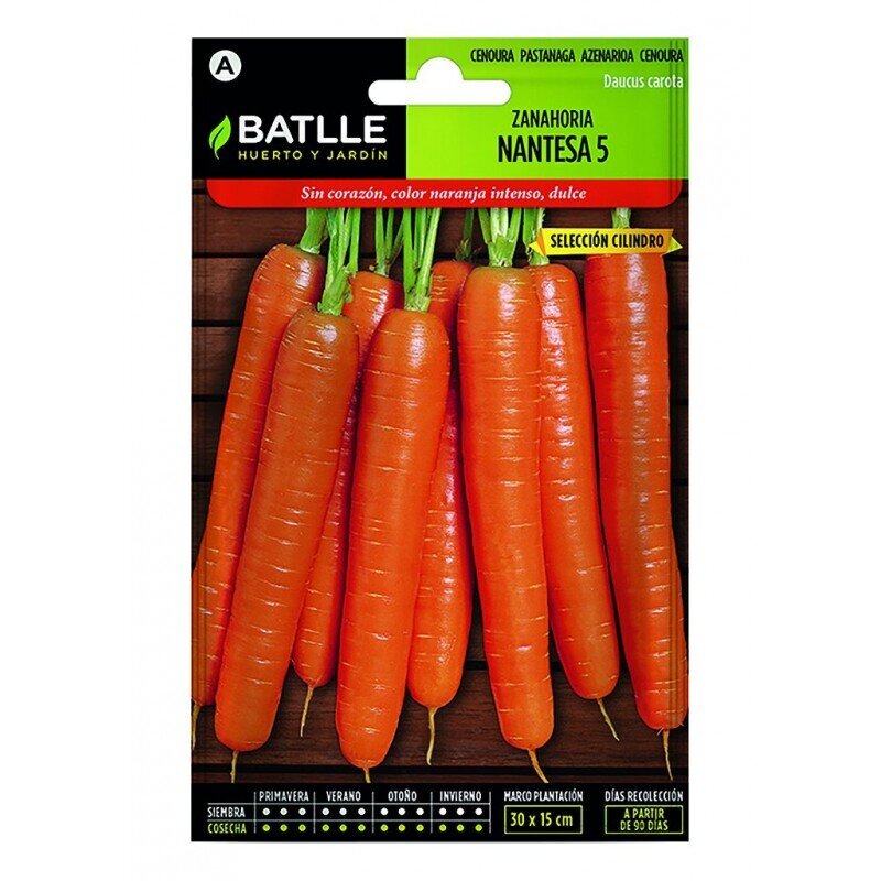 ZANAHORIA NANTESA 5 (S.CILINDRO) LUJO