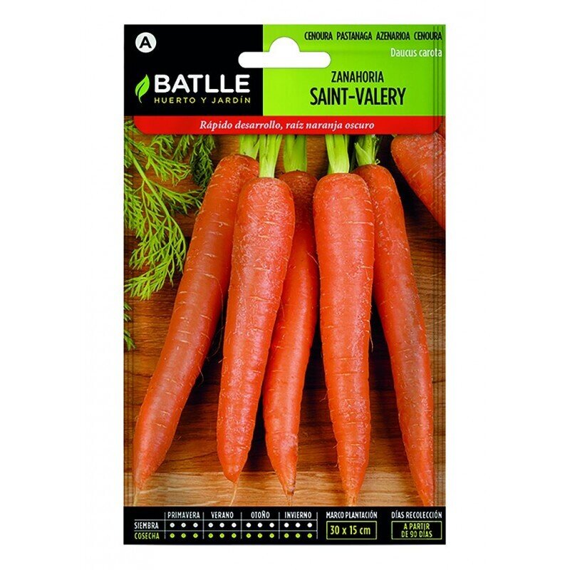 ZANAHORIA SAN VALERY MUY LARGA LUJO