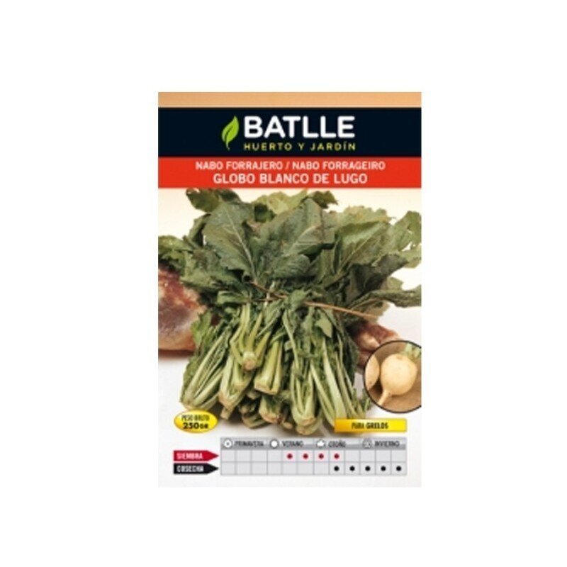 NABO LUGO (GLOBO BLANCO) 250 GRS. NABO LUGO (GLOBO BLANCO) 250 GRS.