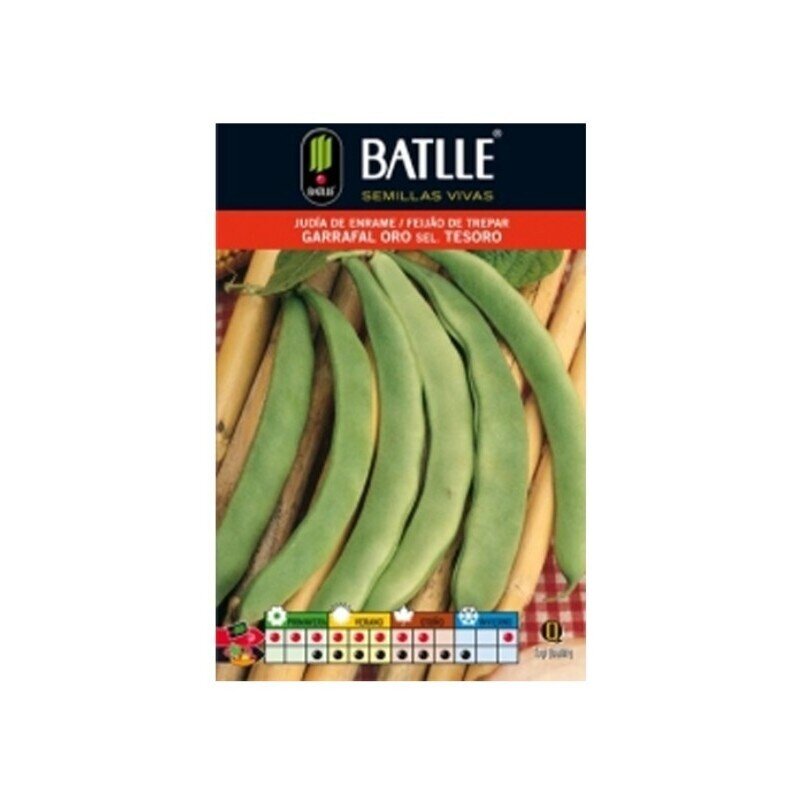 JUDIA GARRAFAL ORO (TESORO) 250 GRS.