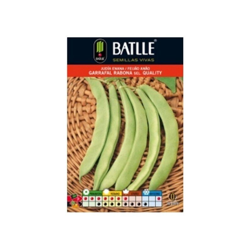 JUDIA GARRAFAL RABONA (QUALITY) 250 GRS.