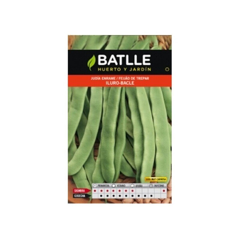 JUDIA ILURO 100 GRS.