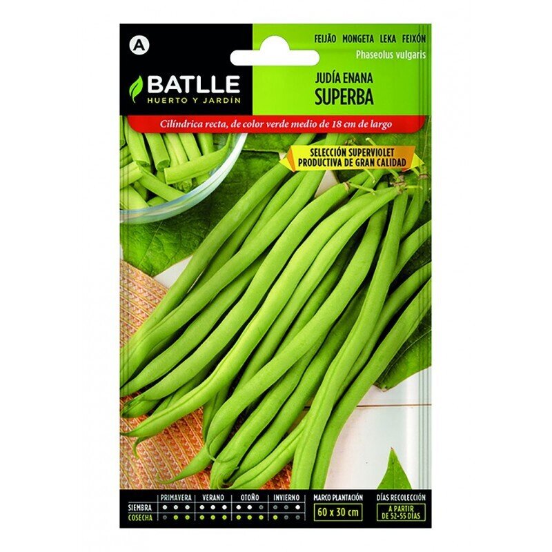 JUDIA SUPERBA 100 GRS.