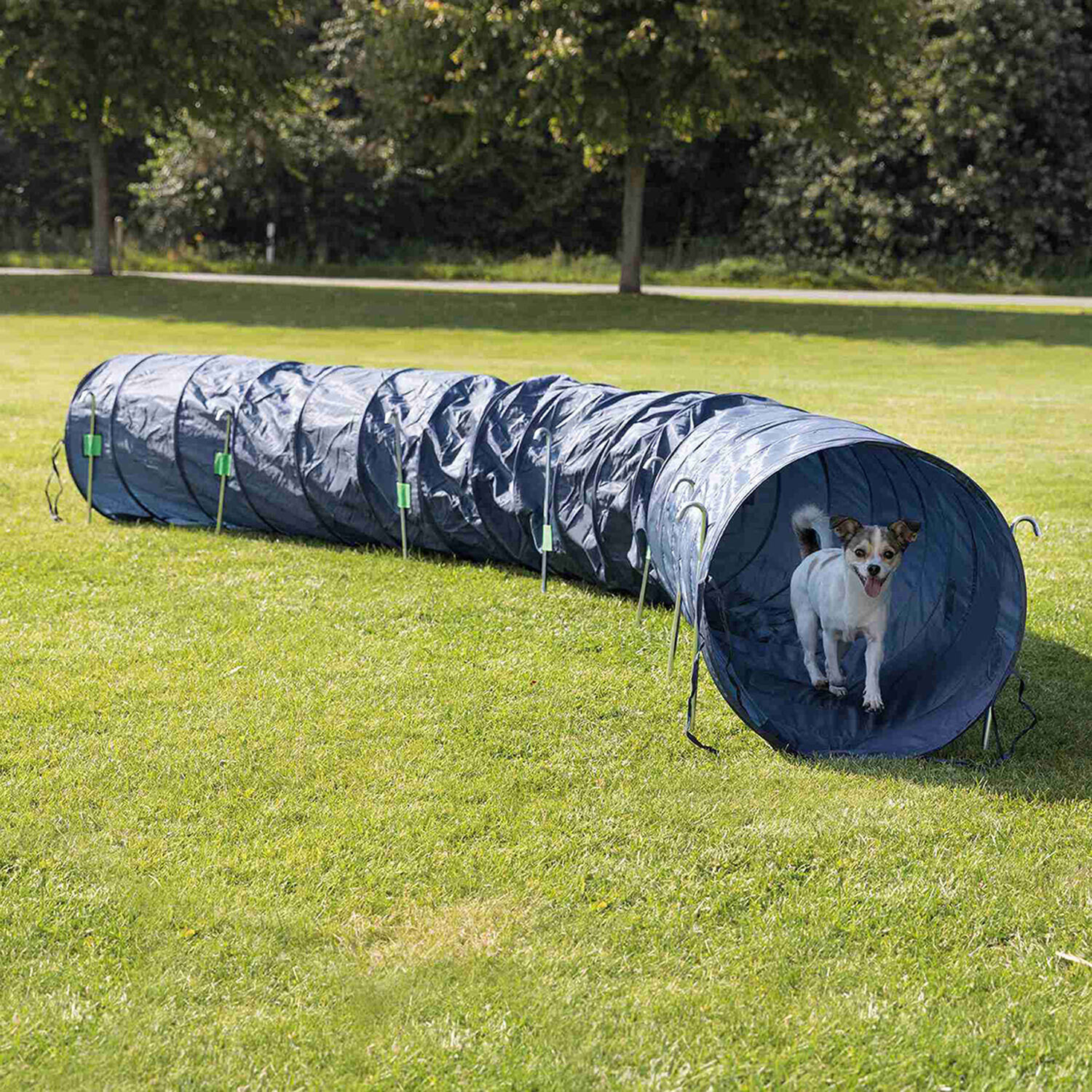 T�nel Agility, Nylon, �60 cm, 5.00 m, Azul