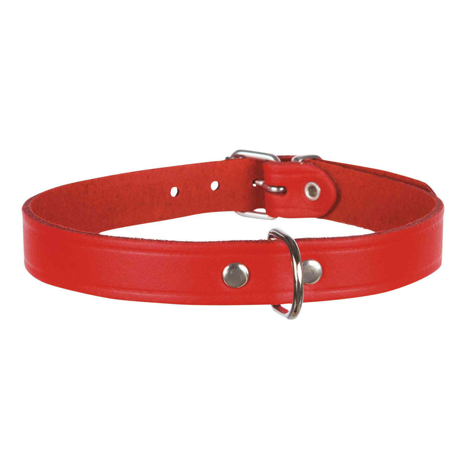 Collar Basic, Piel, M-L, 39-48 cm/22 mm, Rojo