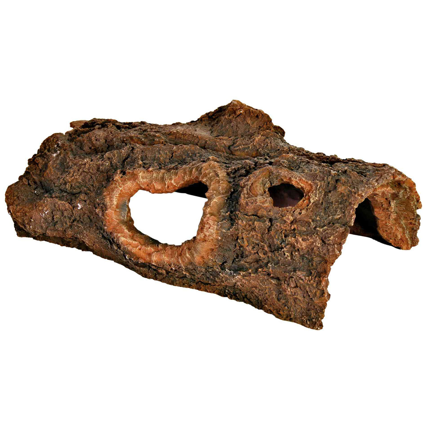 Cueva de Tronco �rbol, 31 cm