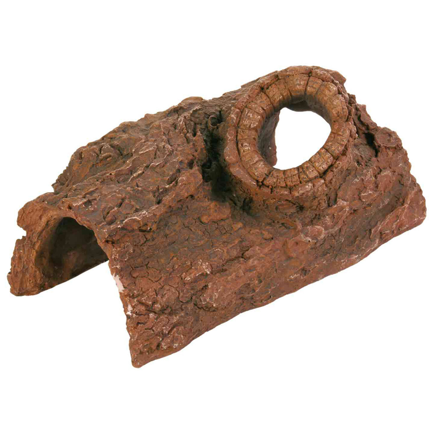 Cueva de Tronco �rbol, 21 cm