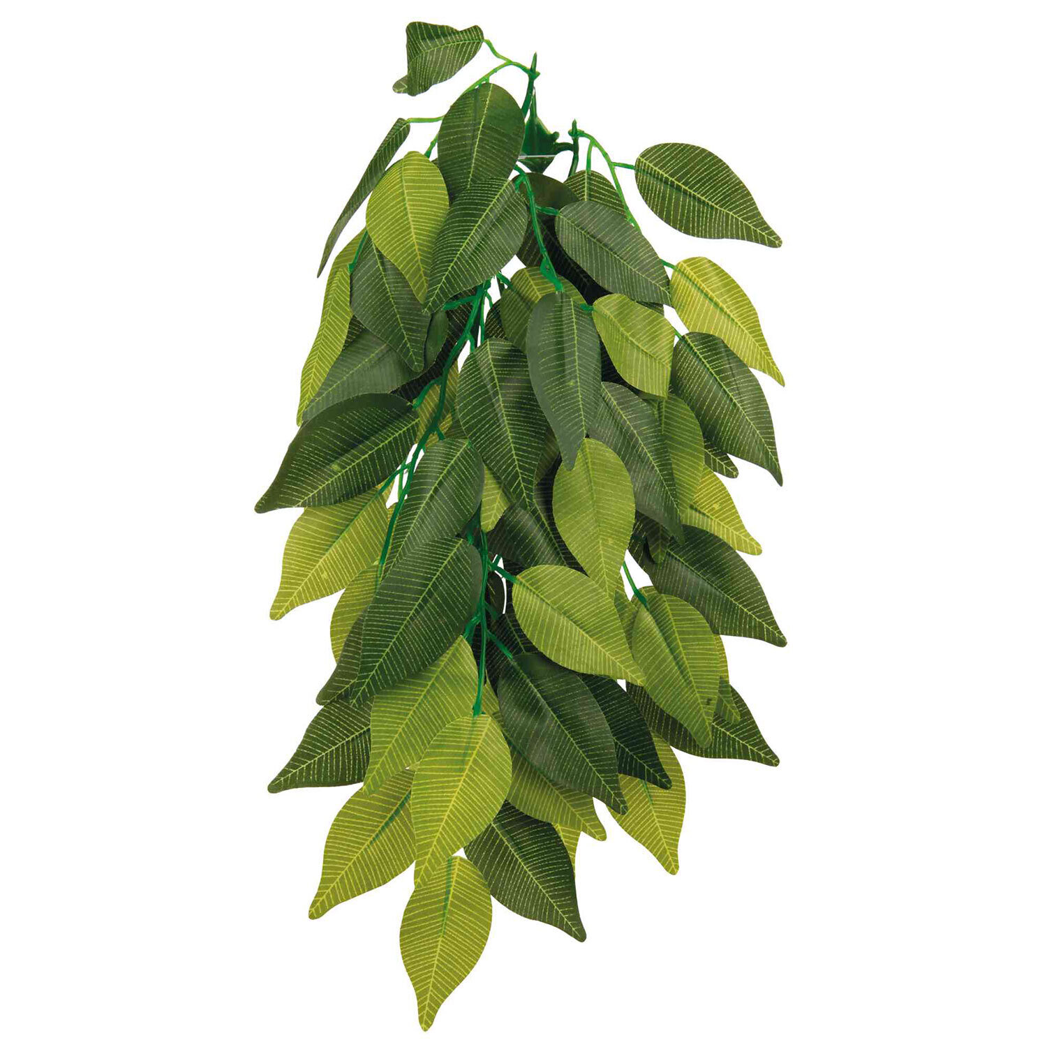 Planta seda colgante Terrarios Ficus, �20 x 50 cm Planta seda colgante Terrarios Ficus, �20 x 50 cm