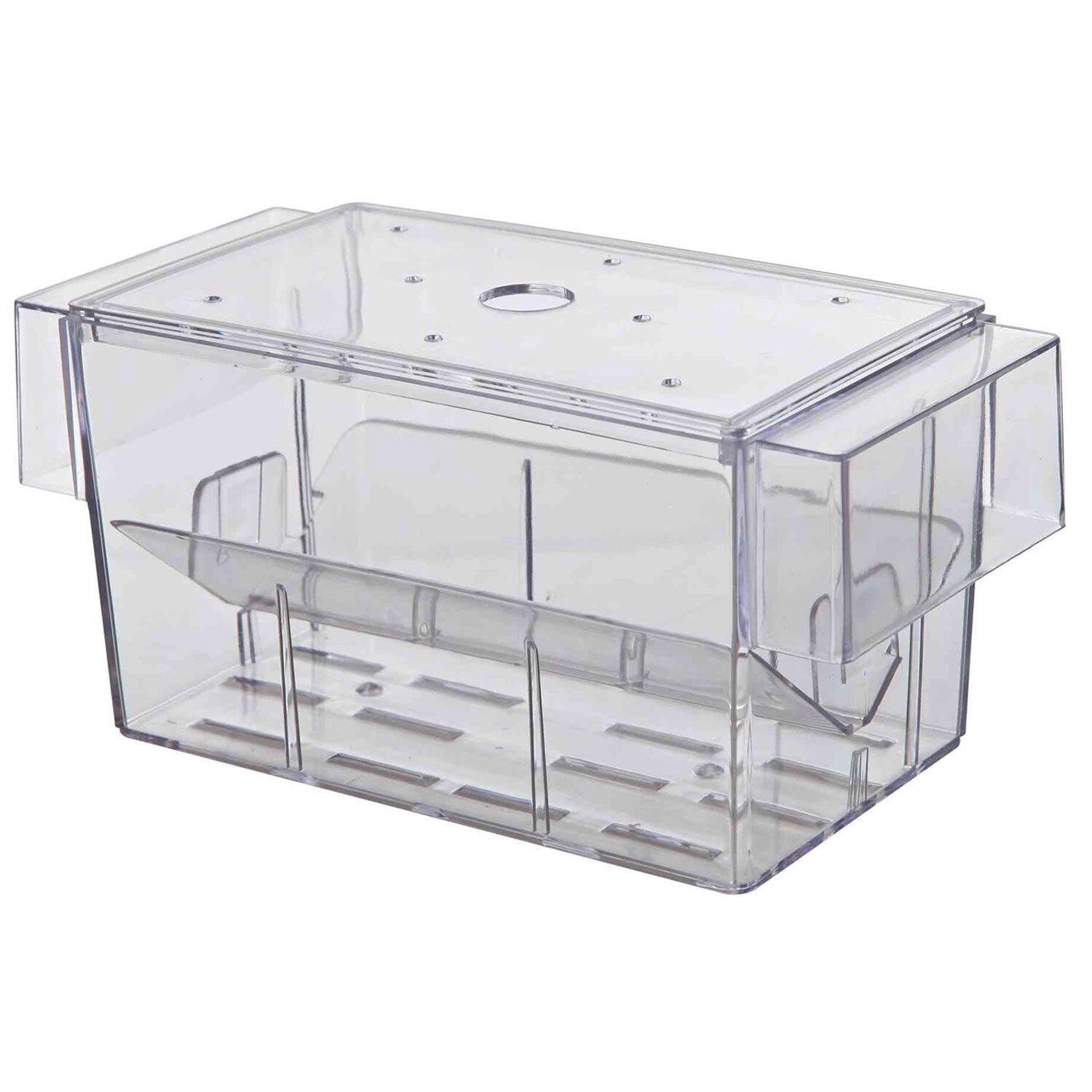 Paridera Peces, 16 x 7 x 7 cm