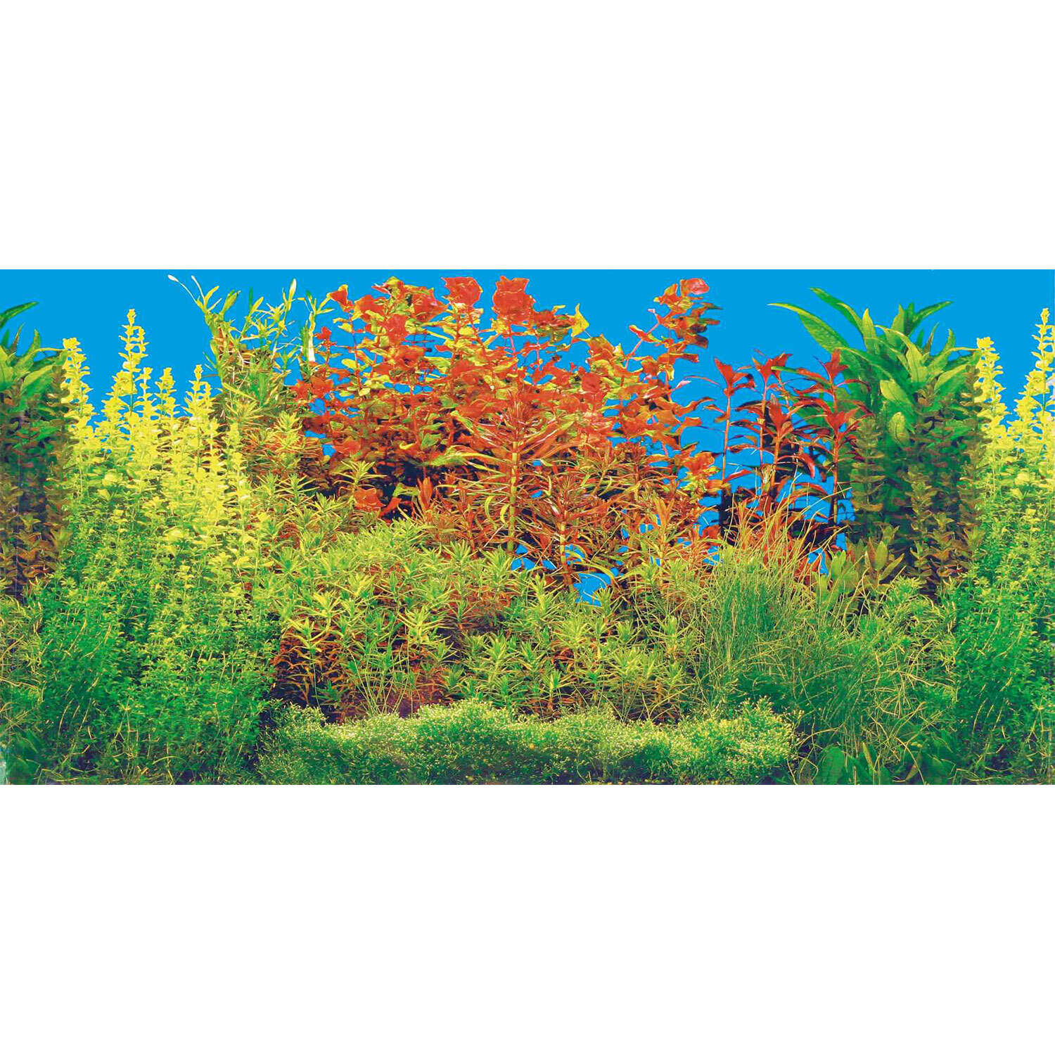 Fondo Decorativo Acuarios, Doble, 80 x 40 cm Fondo Decorativo Acuarios, Doble, 80 x 40 cm