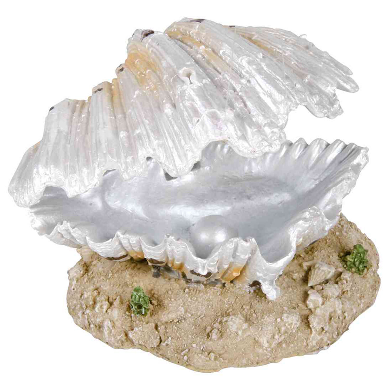 Ostra con Salida de Aire, 9 cm