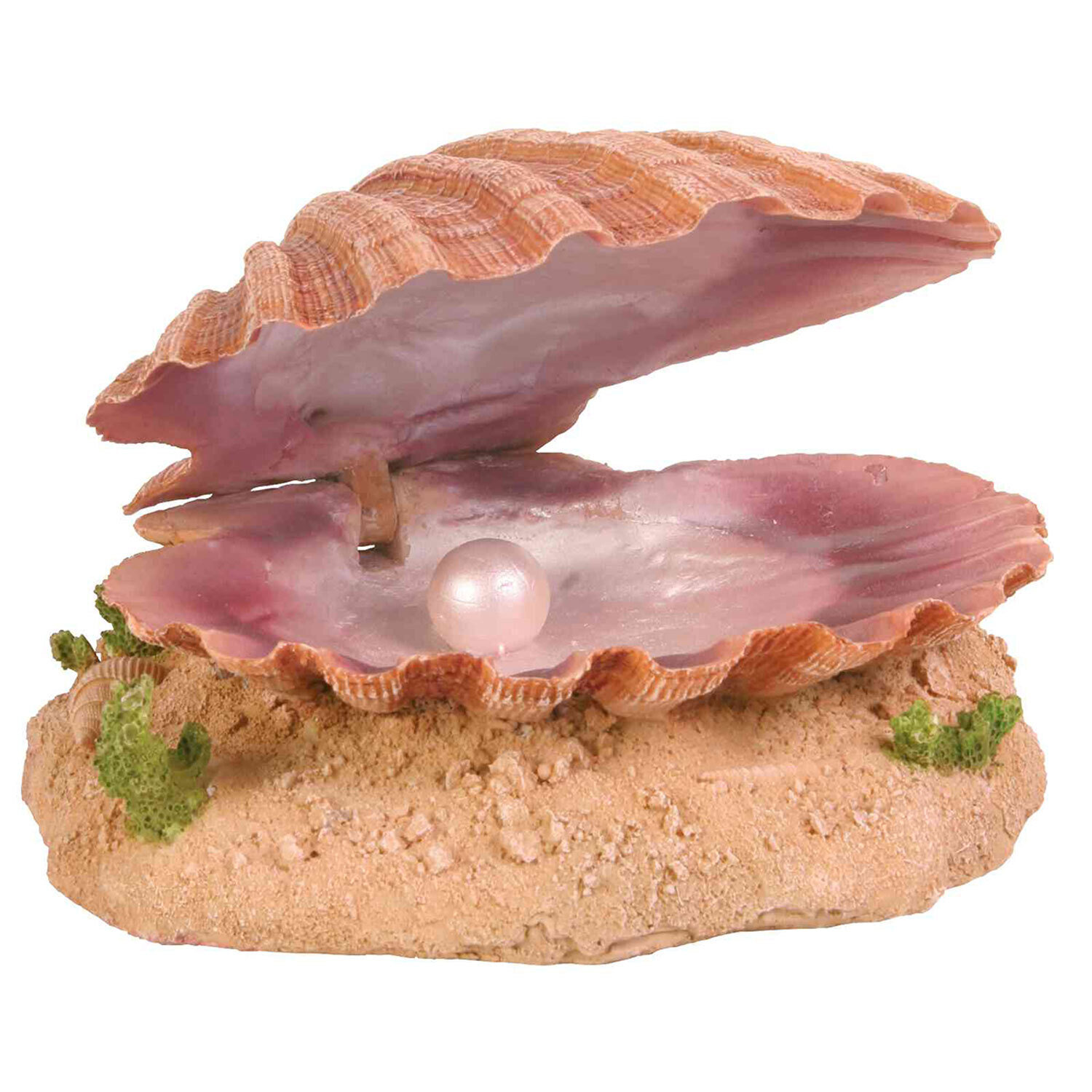 Ostra con Salida de Aire, 15 cm